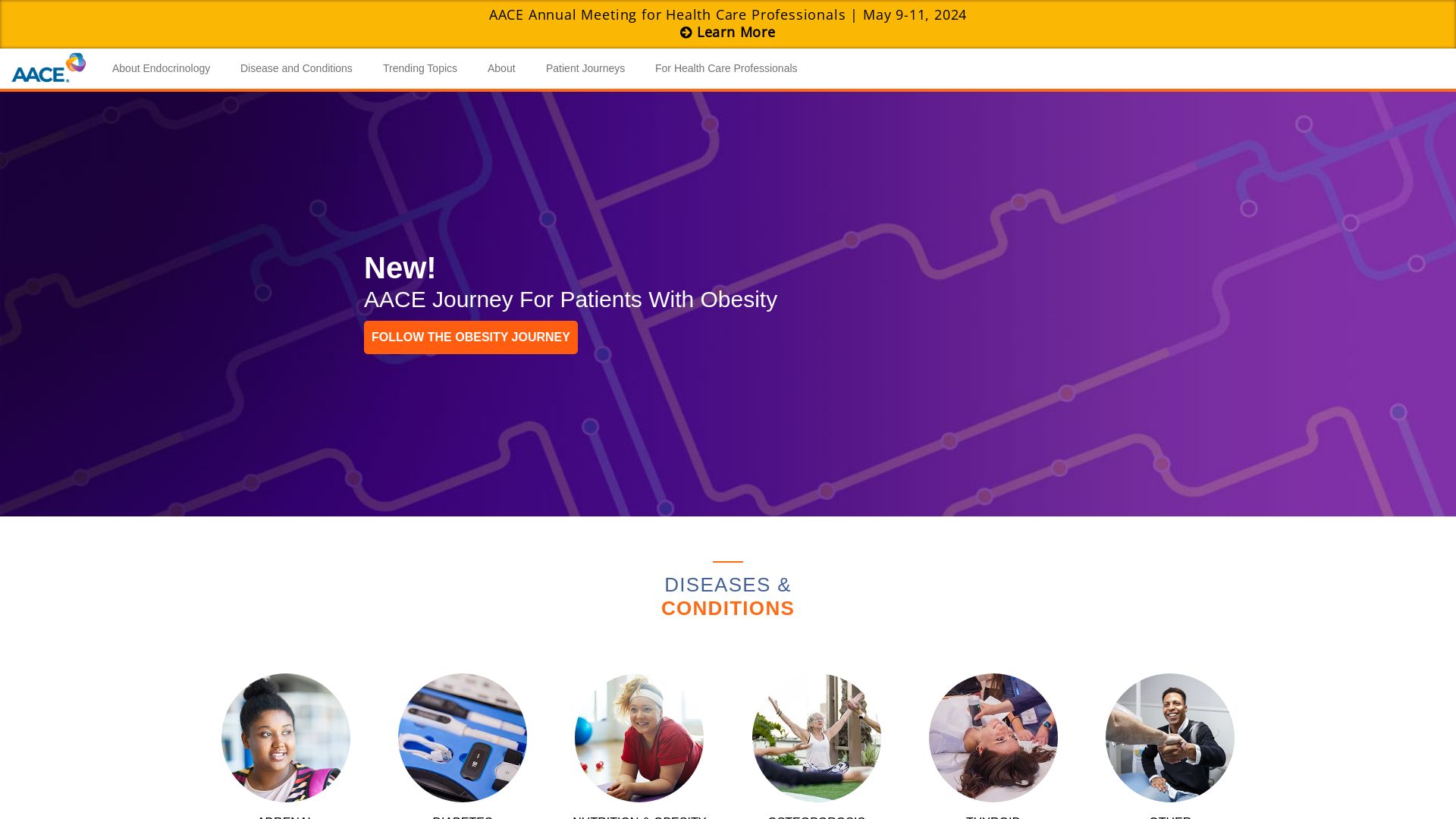Website status aace.com is   ONLINE