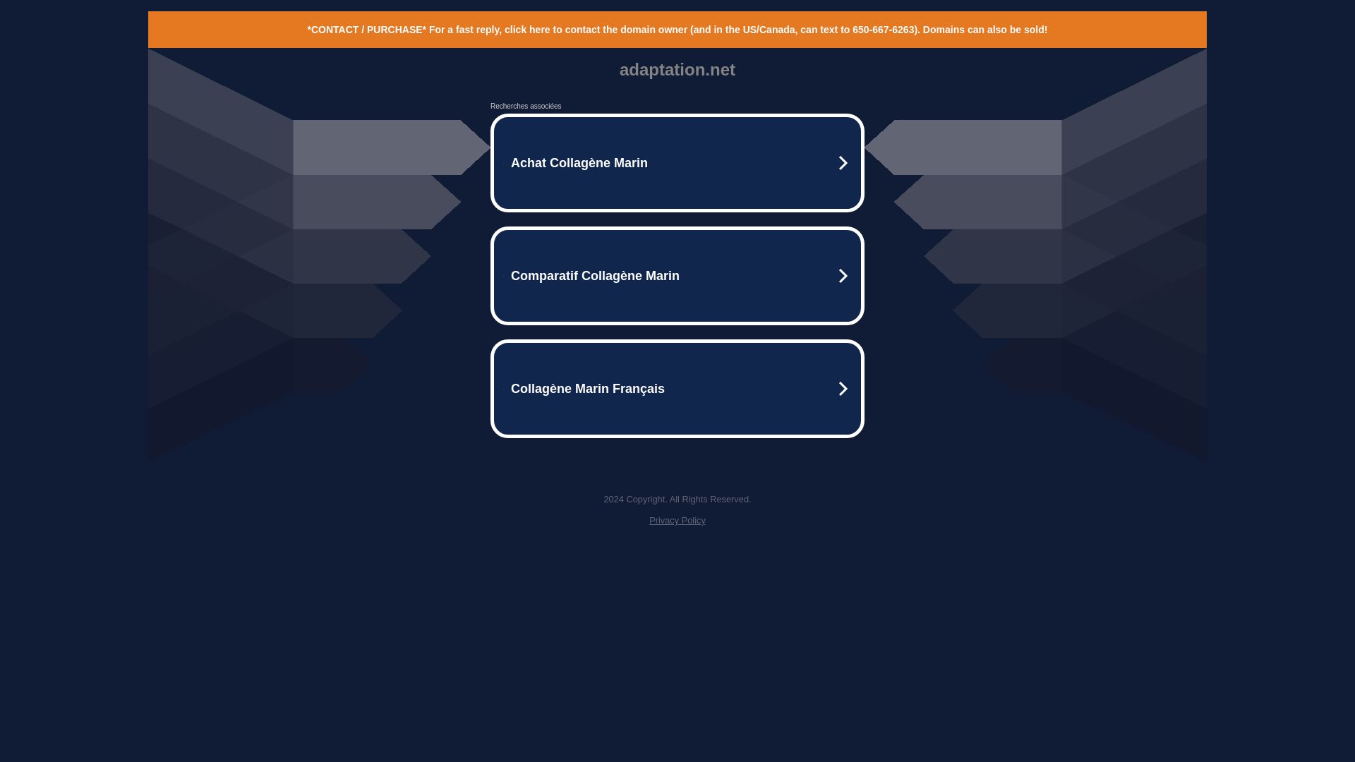 Website status adaptation.net is   ONLINE