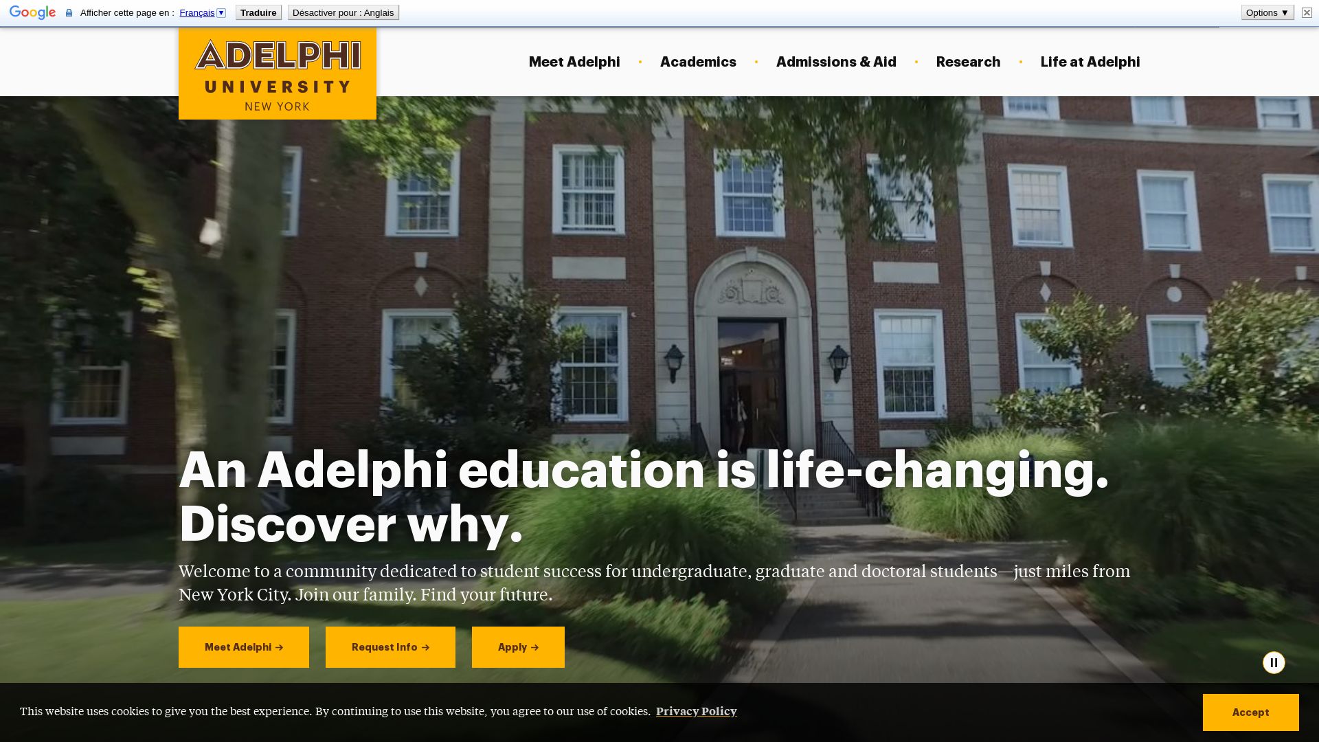 Website status adelphi.edu is   ONLINE