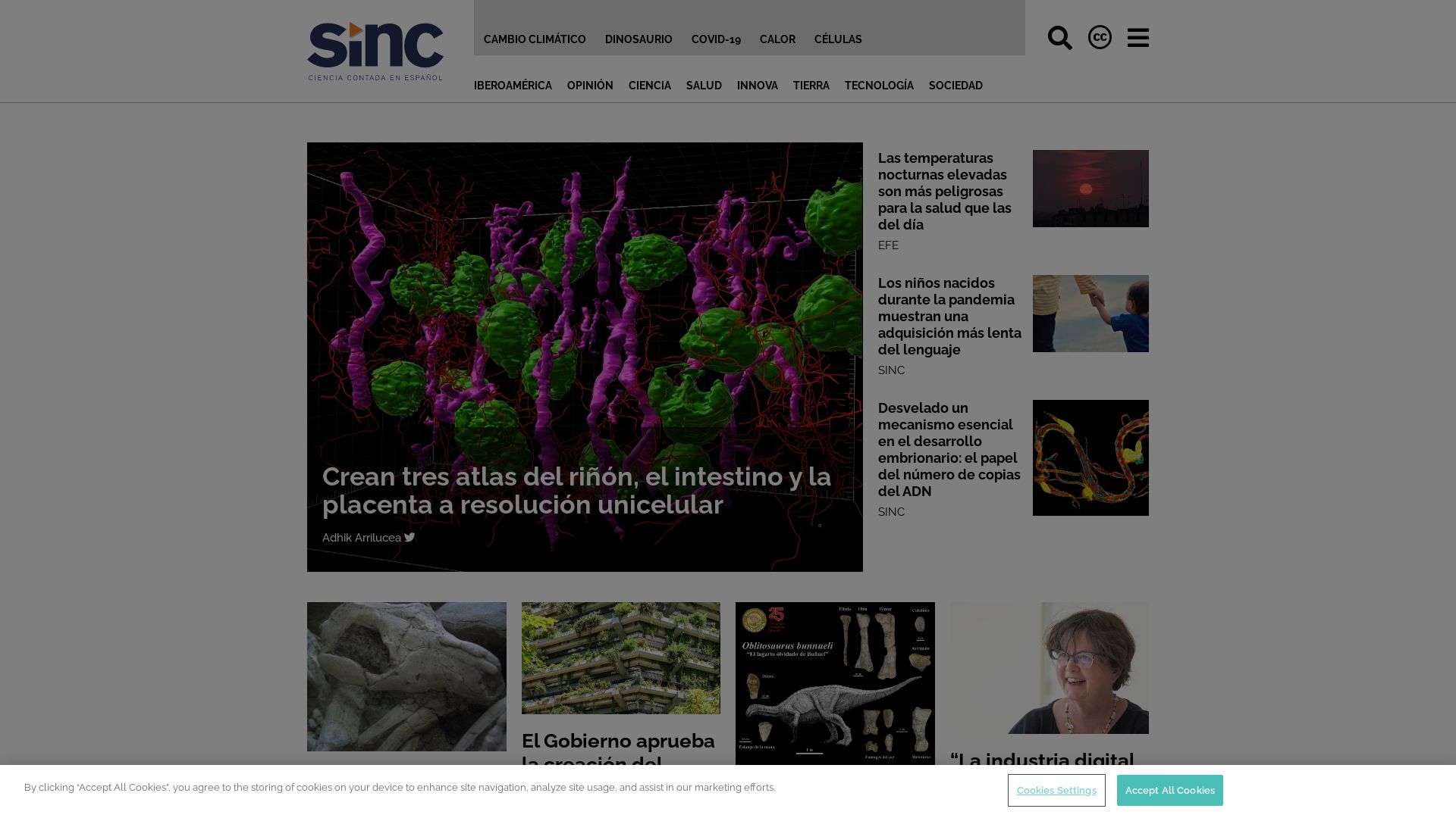 Website status agenciasinc.es is   ONLINE