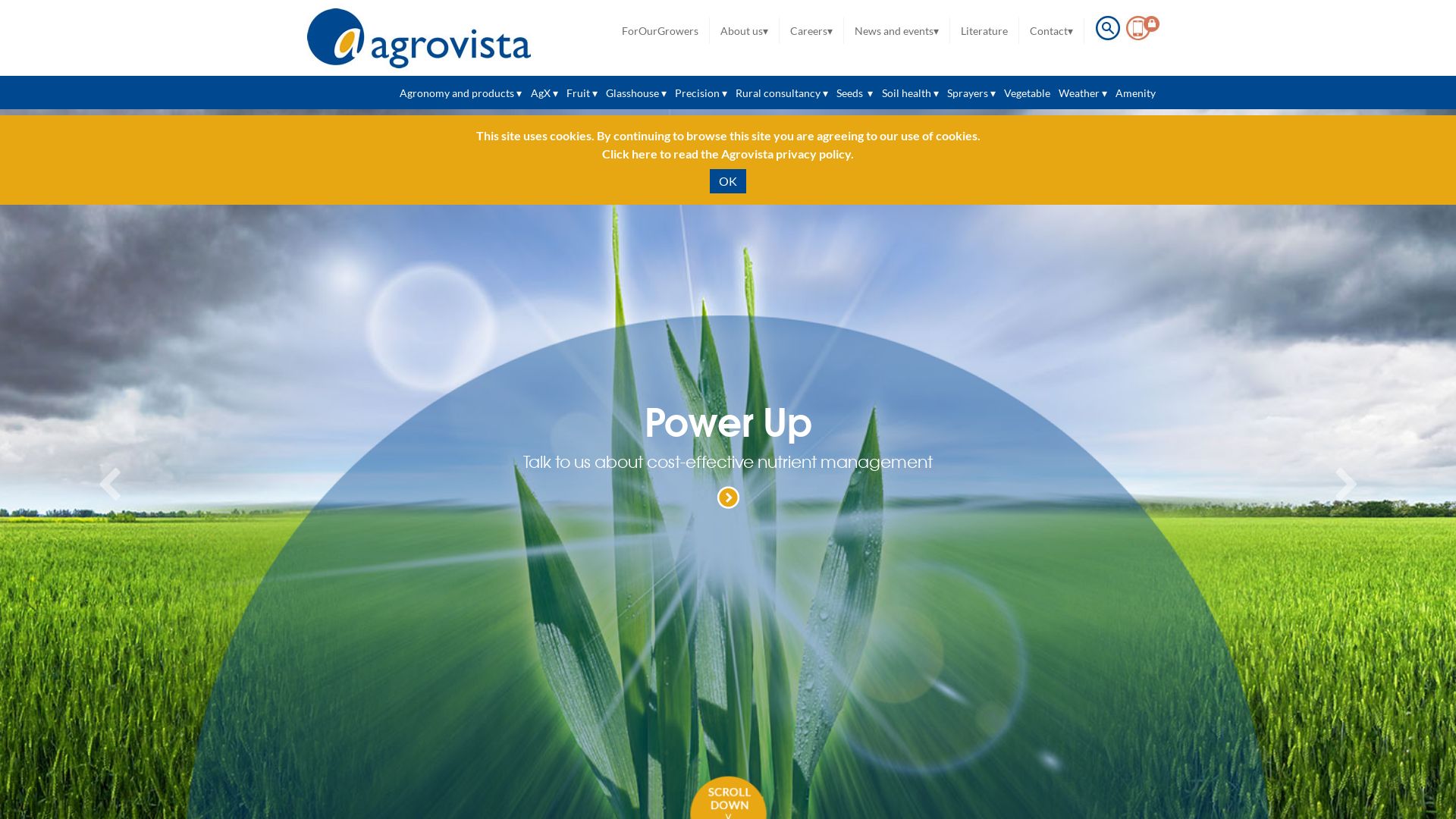 Website status agrovista.co.uk is   ONLINE