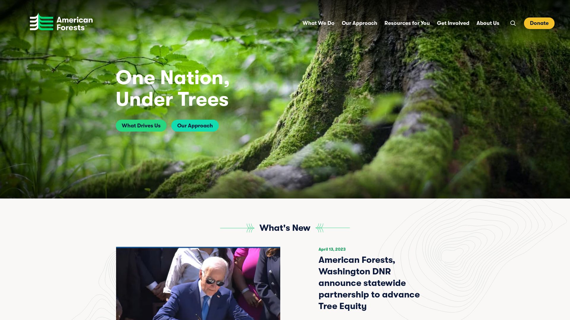 Website status americanforests.org is   ONLINE