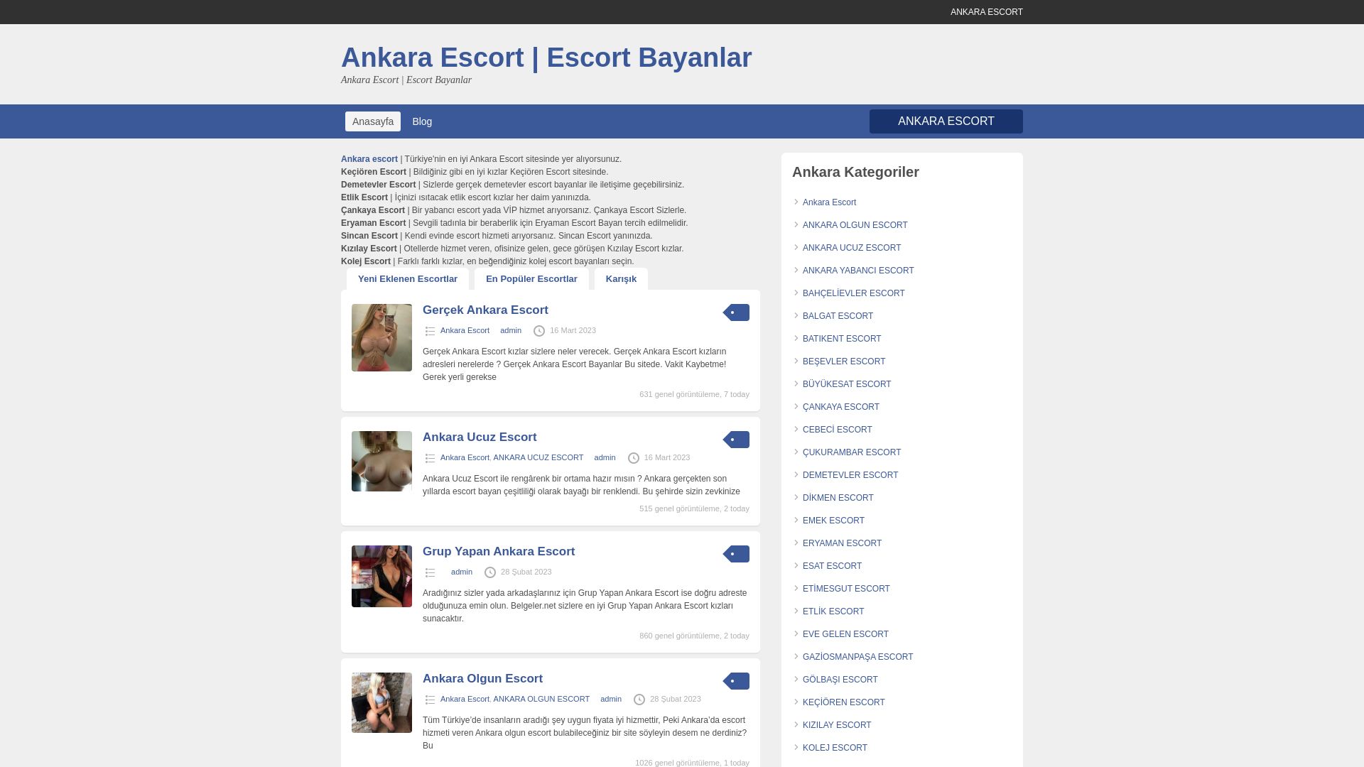 Website status ankarabayan.org is   ONLINE