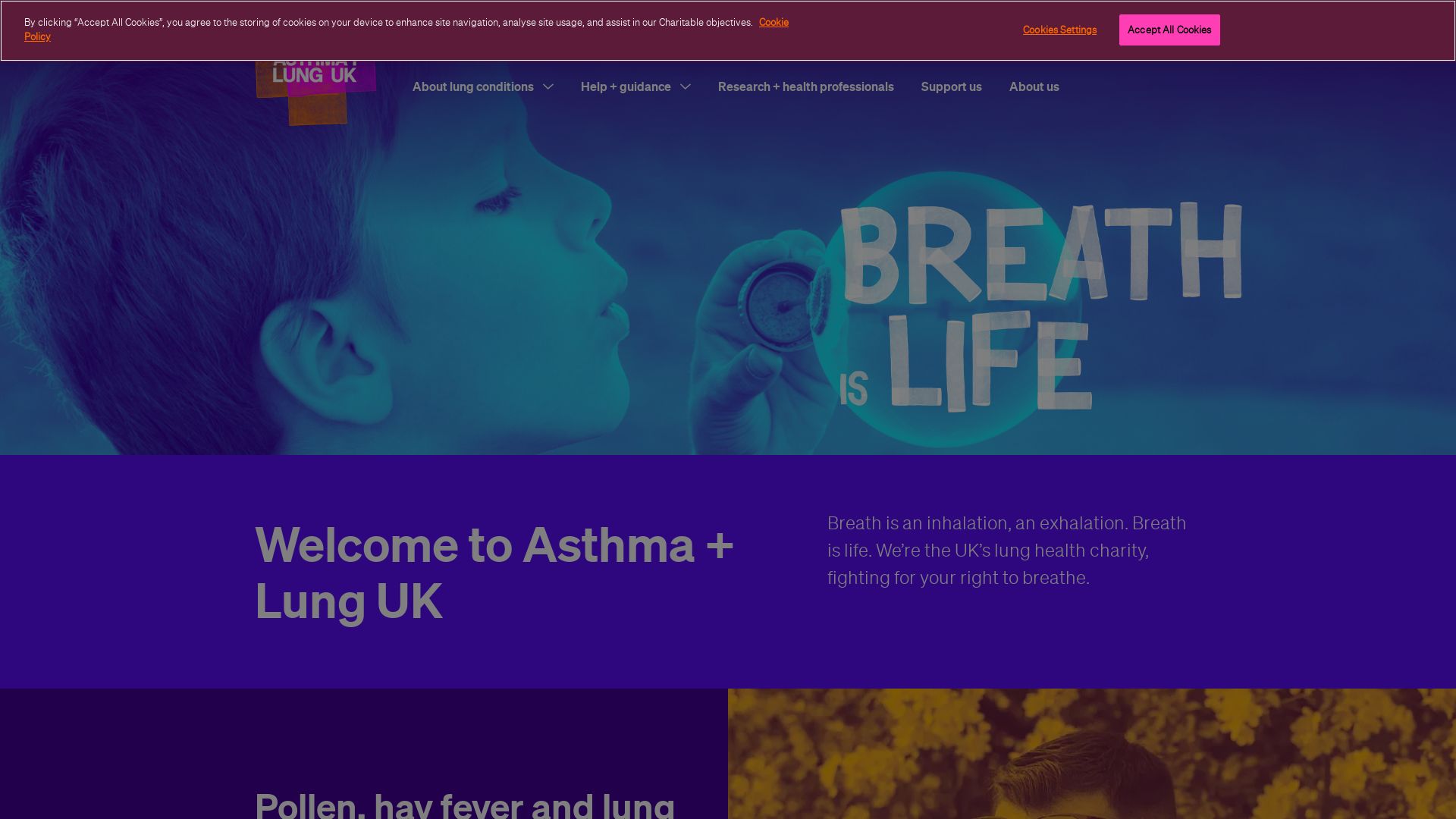 Website status asthma.org.uk is   ONLINE