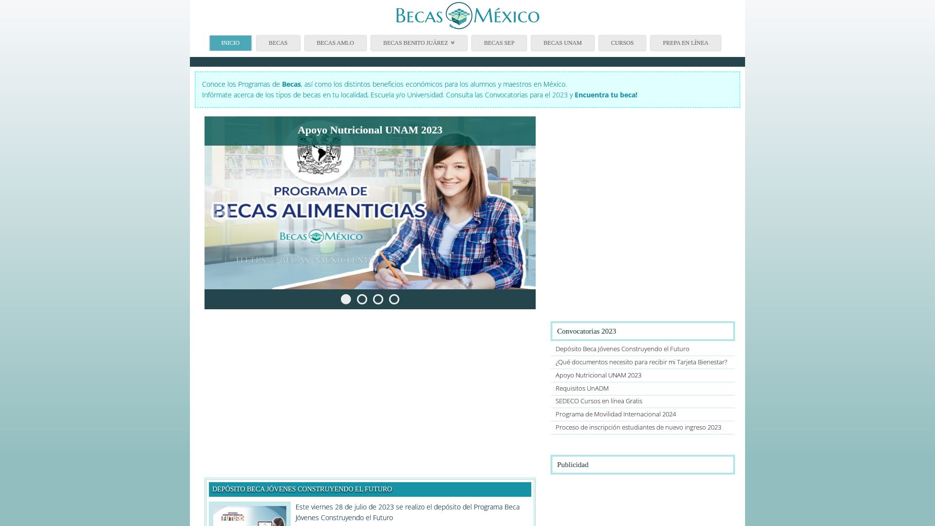 Website status becas-mexico.mx is   ONLINE