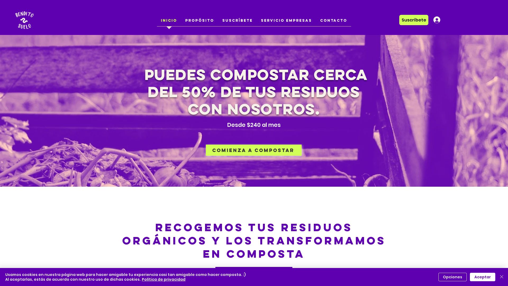 Website status benditosuelo.com is   ONLINE