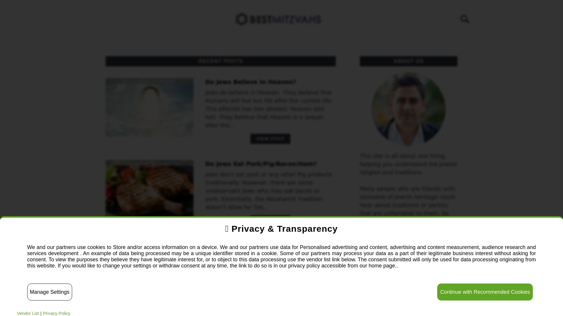 Website status bestmitzvahs.com is   ONLINE