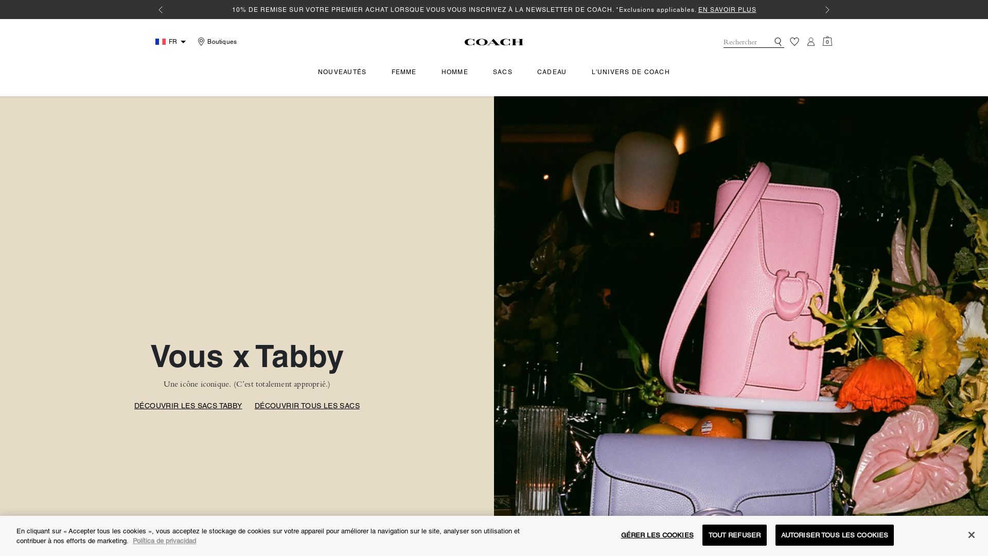 Website status coach.com is   ONLINE