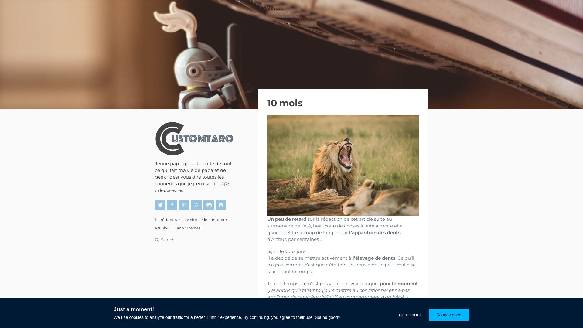 Website status customtaro.fr is   ONLINE