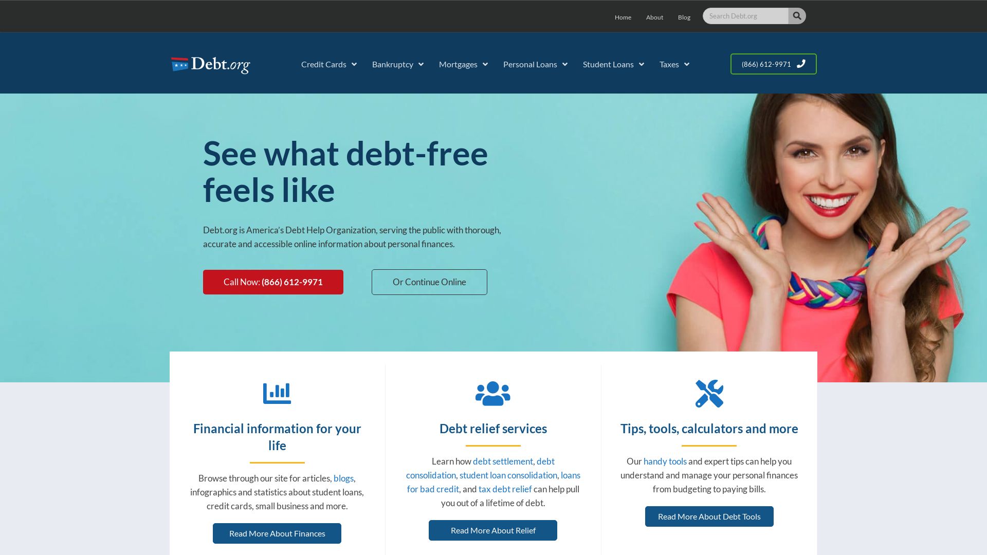 Website status debt.org is   ONLINE