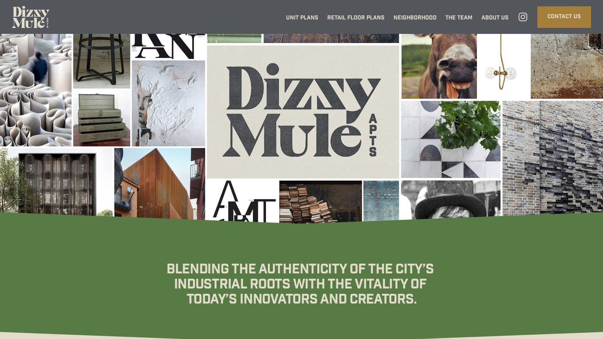 Website status dizzymuleomaha.com is   ONLINE
