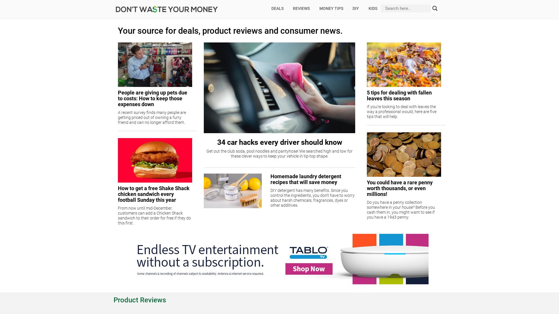 Website status dontwasteyourmoney.com is   ONLINE