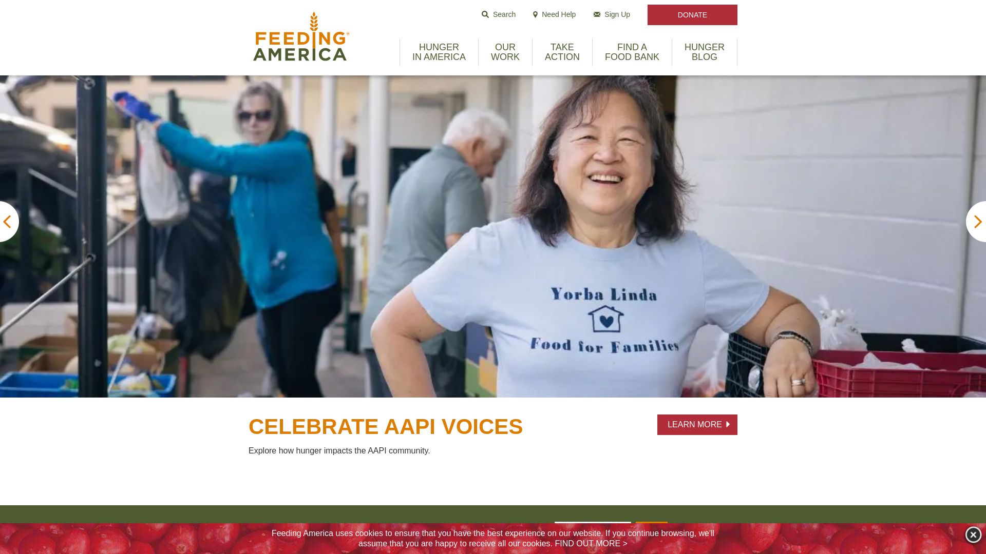 Website status feedingamerica.org is   ONLINE