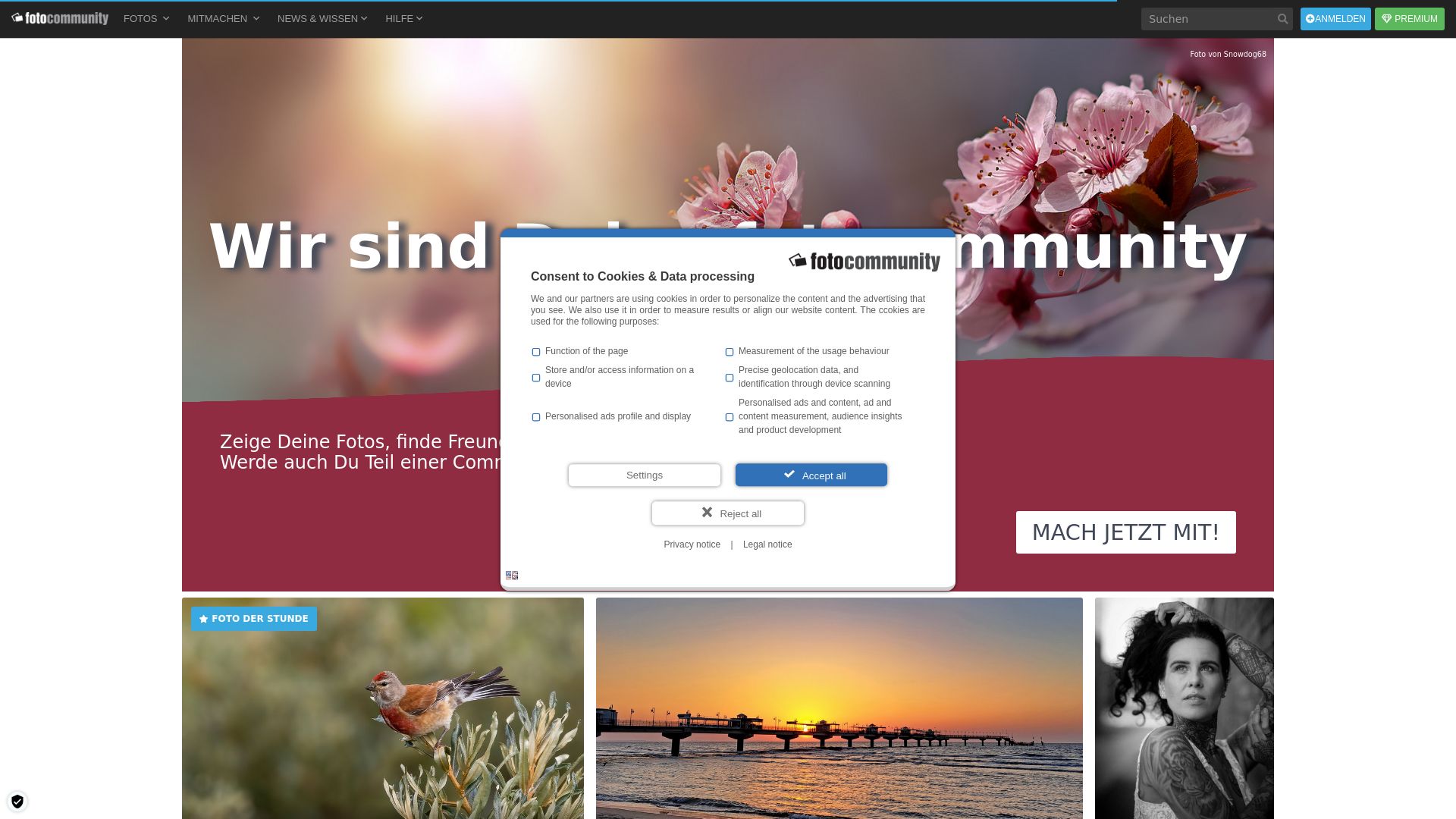 Website status fotocommunity.de is   ONLINE