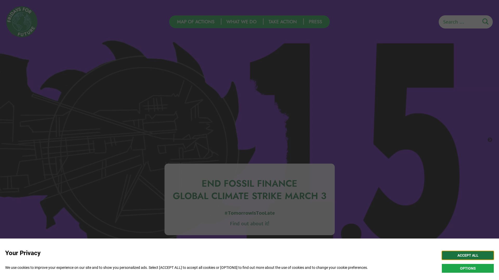 Website status fridaysforfuture.org is   ONLINE