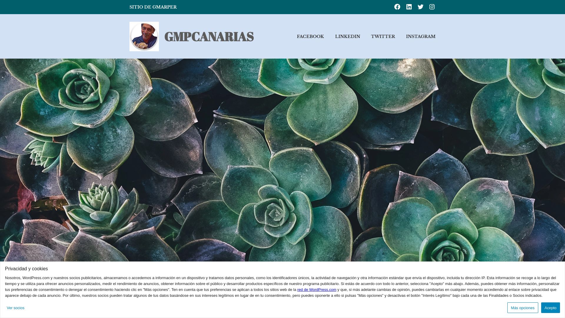 Website status gmpcanarias.wordpress.com is   ONLINE