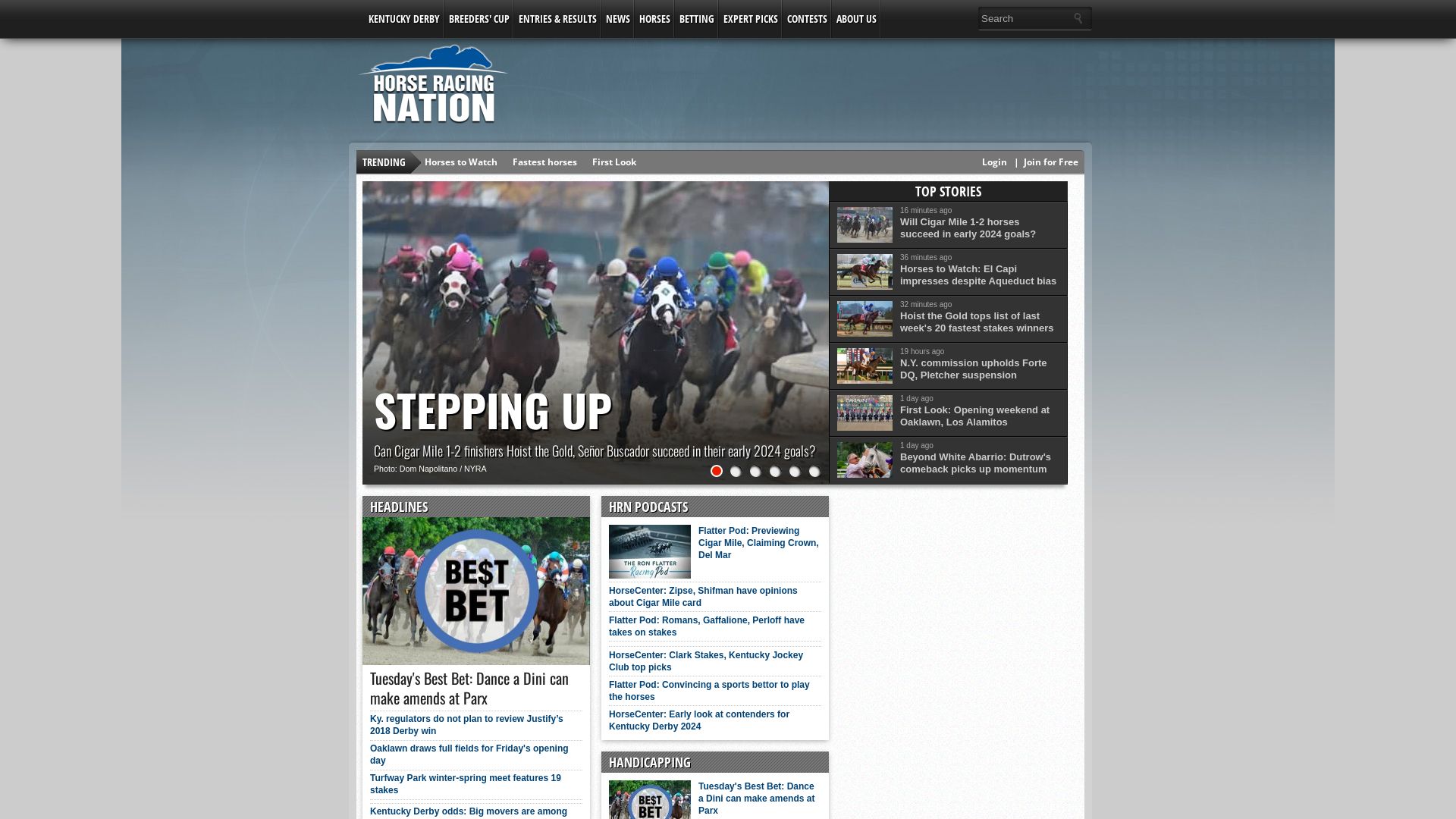 Website status horseracingnation.com is   ONLINE