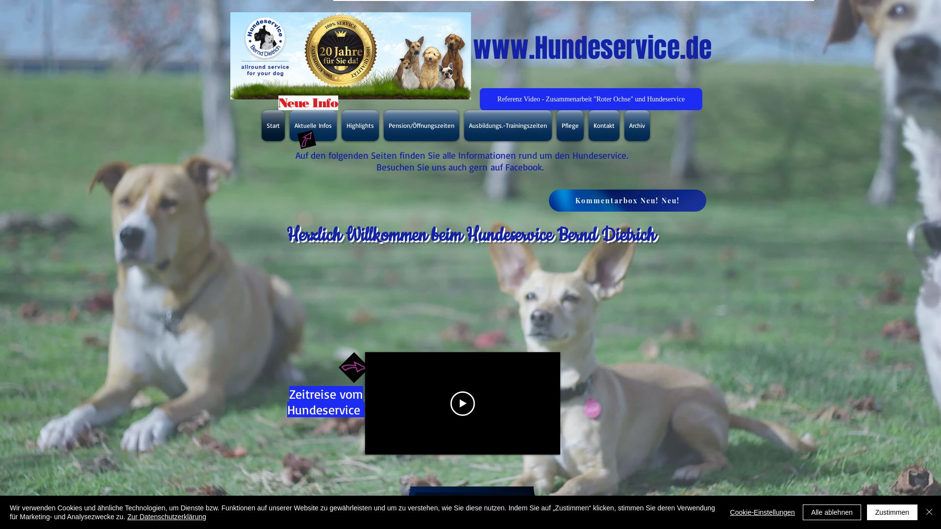 Website status hundeservice.de is   ONLINE