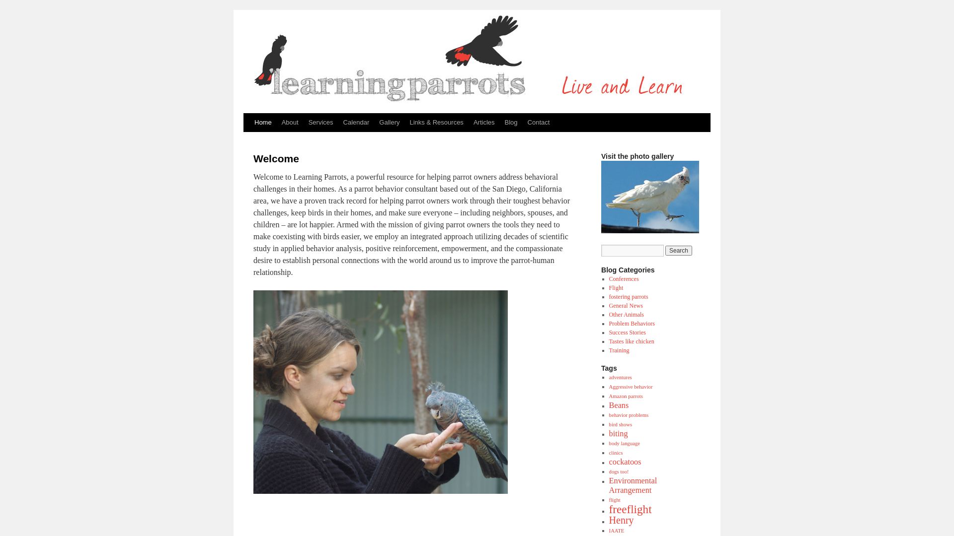 Website status learningparrots.com is   ONLINE