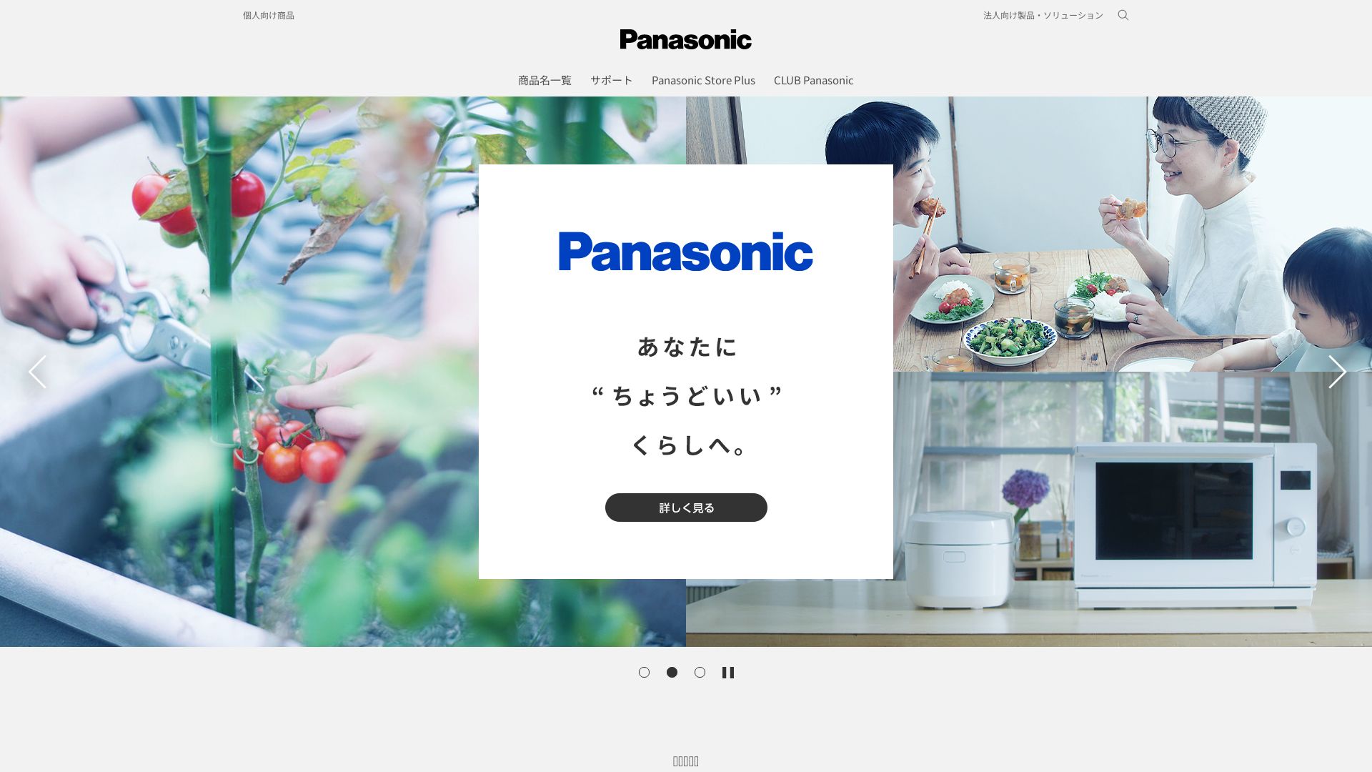 Website status panasonic.jp is   ONLINE