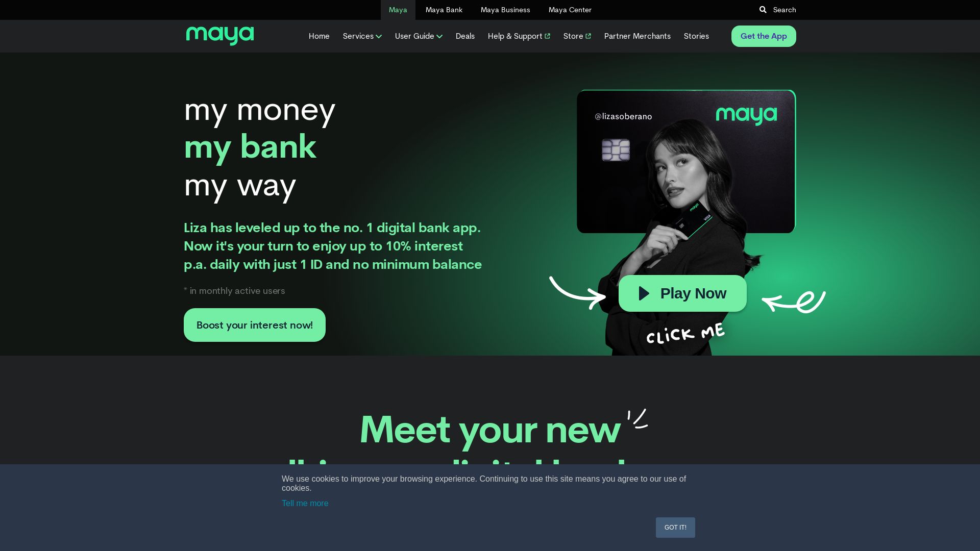 Website status paymaya.com is   ONLINE
