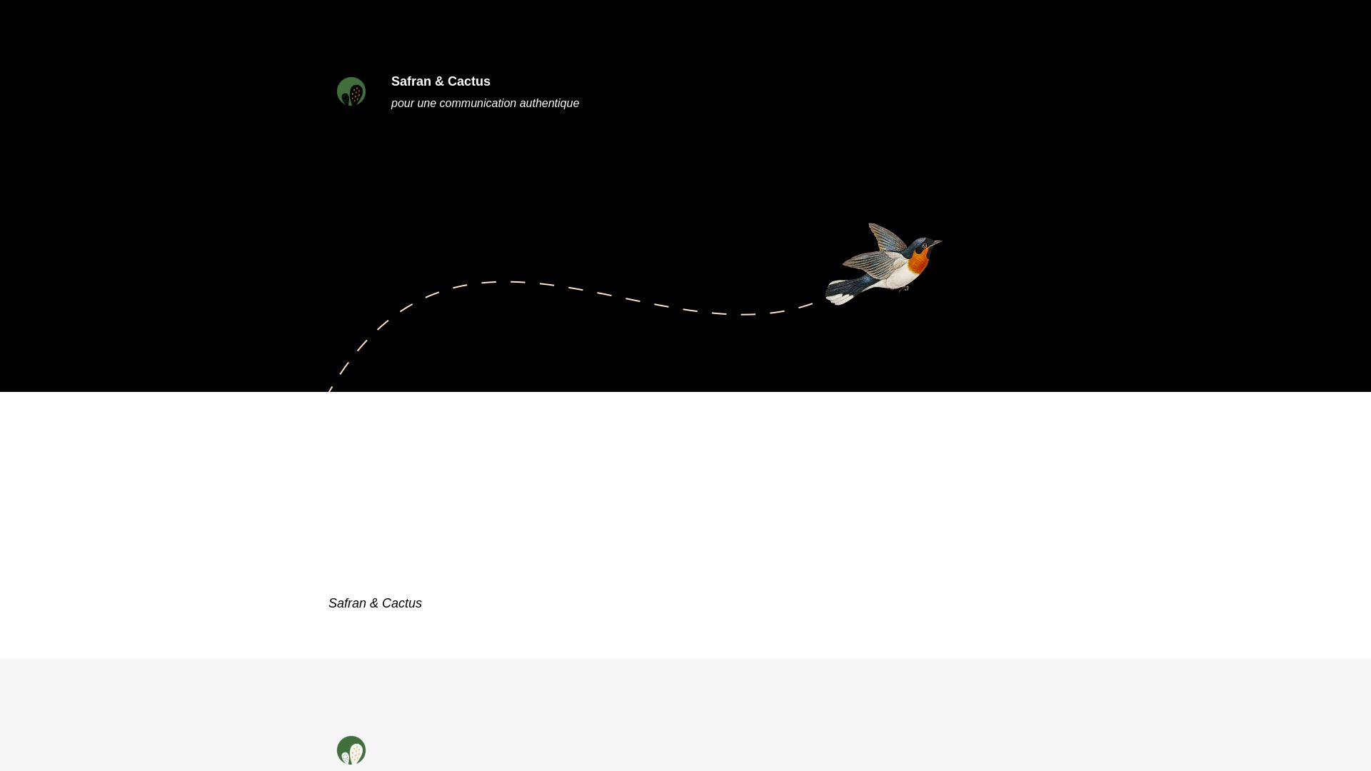 Website status safranetcactus.fr is   ONLINE