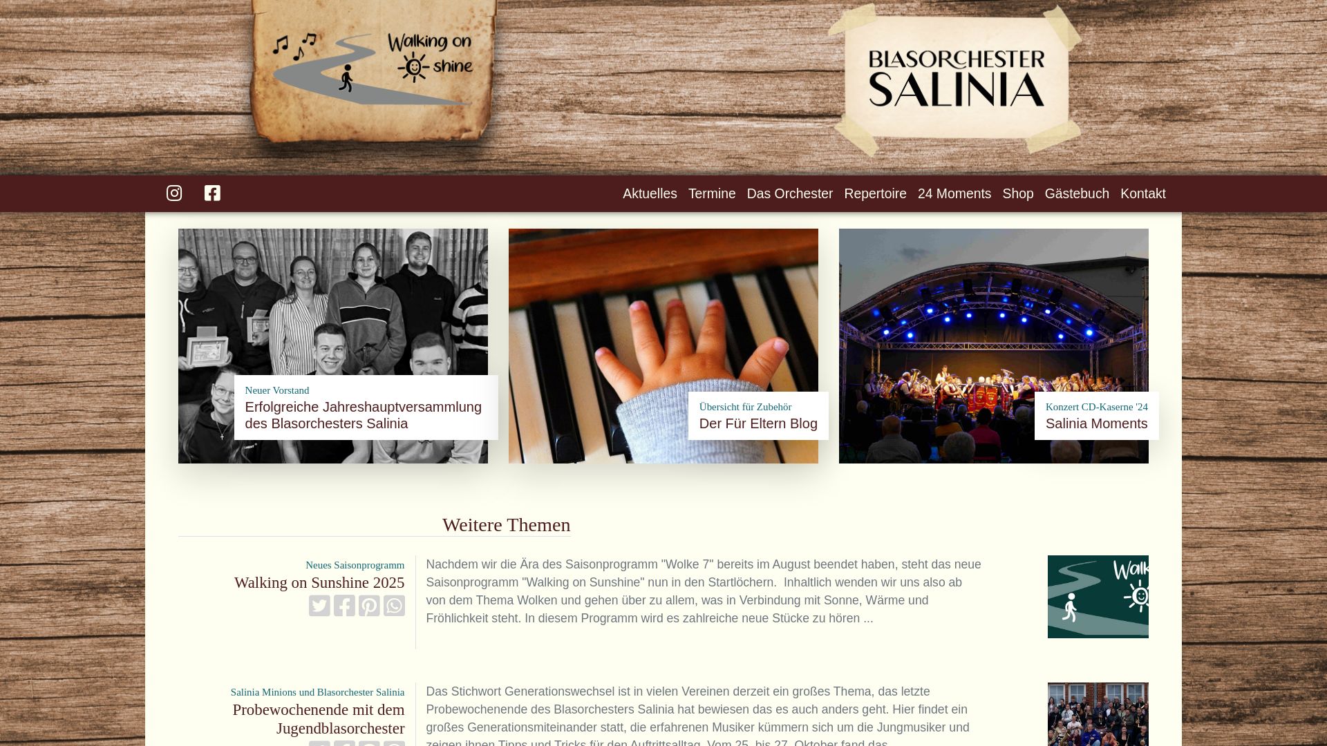Website status salinia.de is   ONLINE