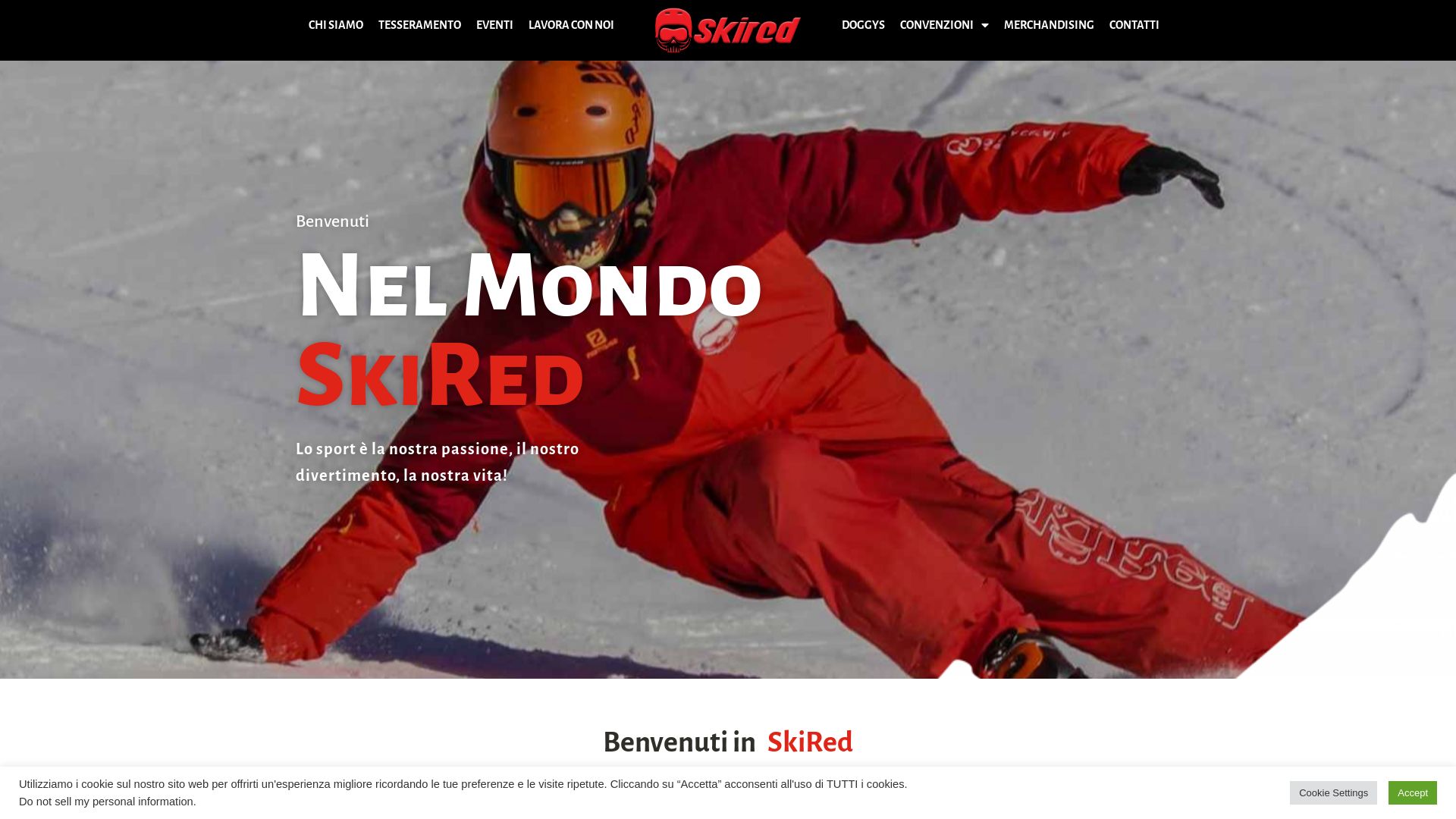 Website status skired.it is   ONLINE