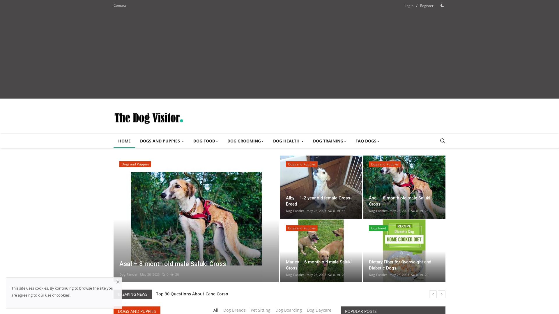 Website status thedogvisitor.com is   ONLINE