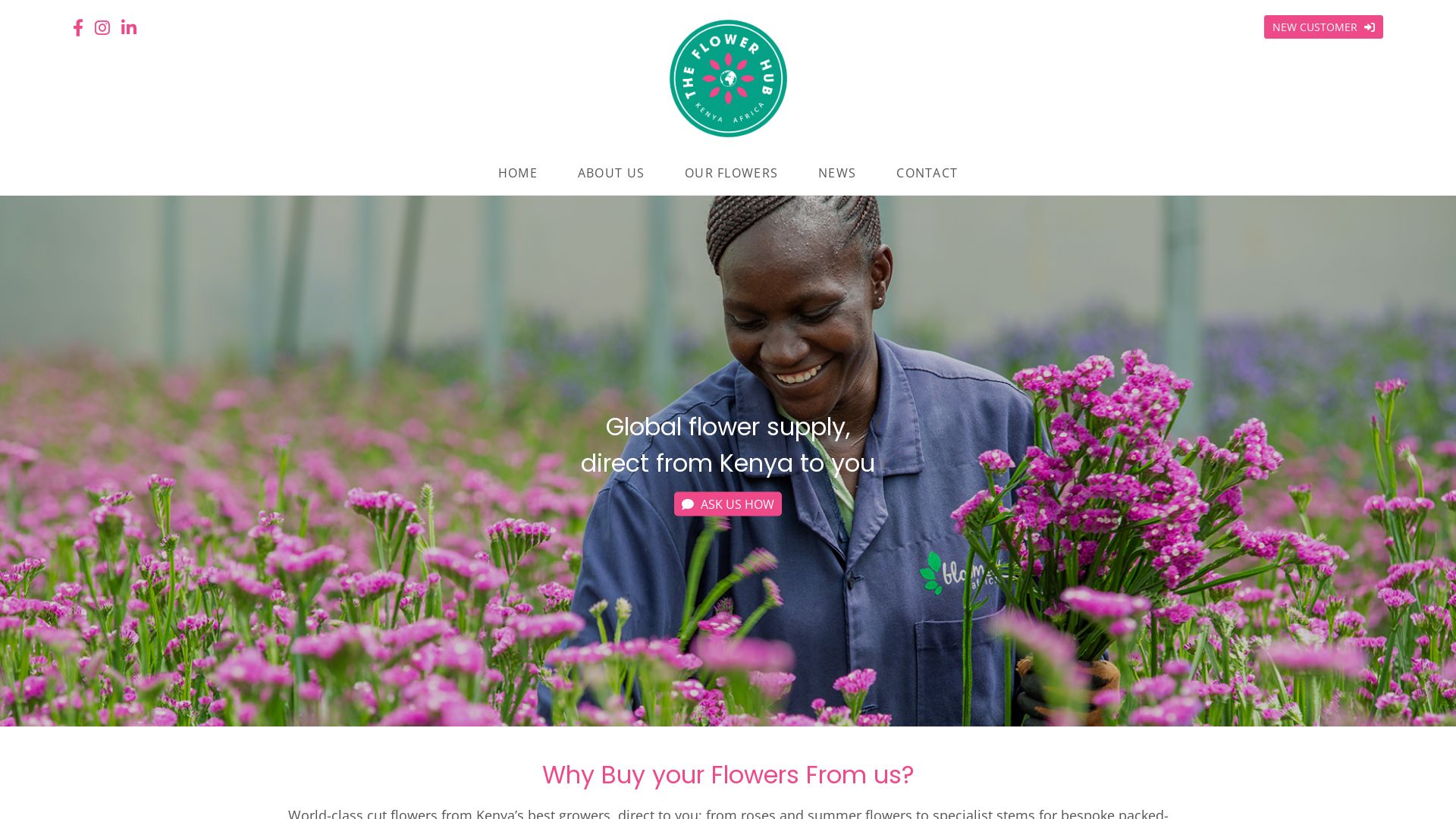 Website status theflowerhub.co.ke is   ONLINE