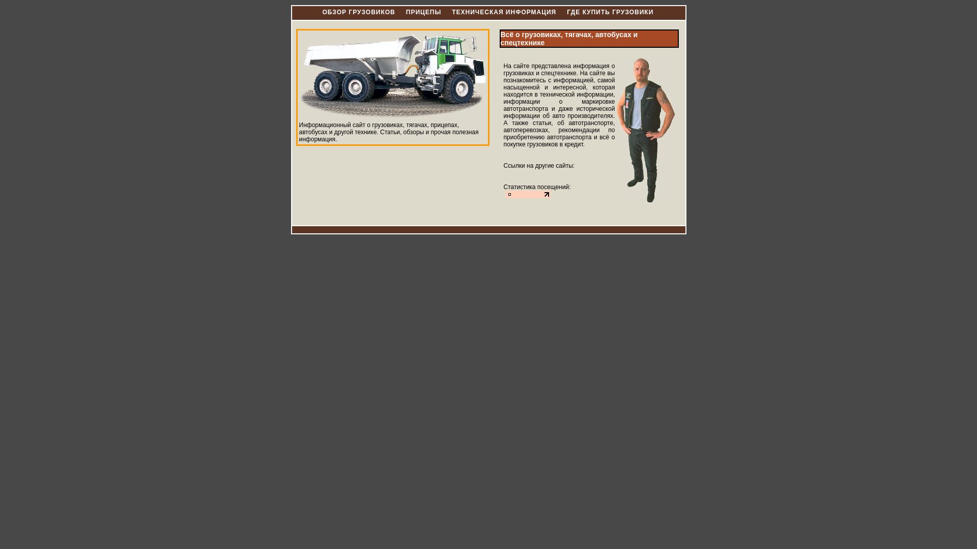 Website status truckz.ru is   ONLINE