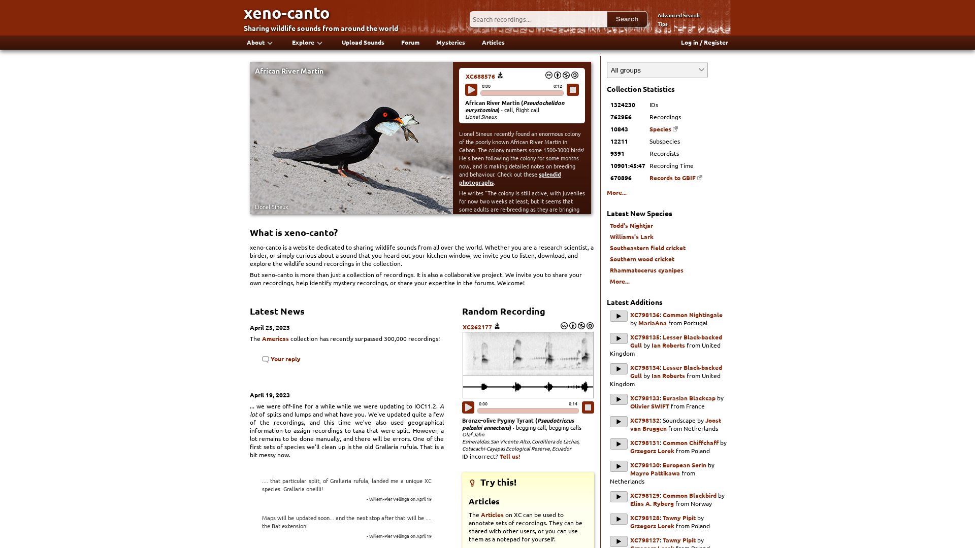 Website status xeno-canto.org is   ONLINE